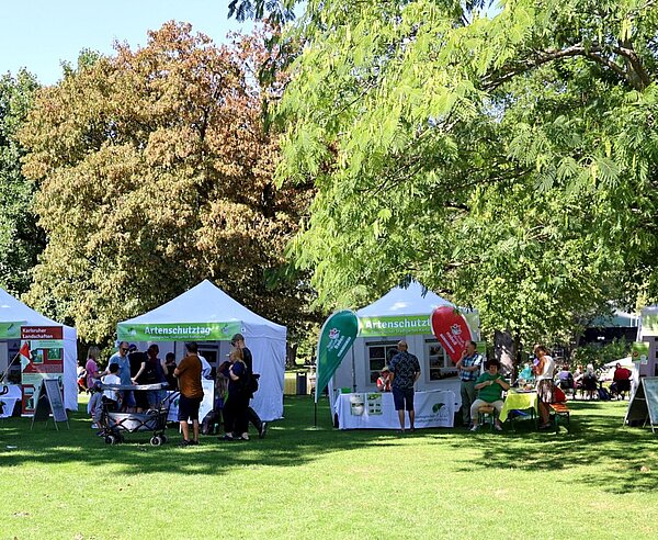 Verteilt über den gesamten Zoologischen Stadtgarten wird am kommenden Sonntag an insgesamt 37 Ständen über unterschiedlichste Artenschutzprojekte informiert. 