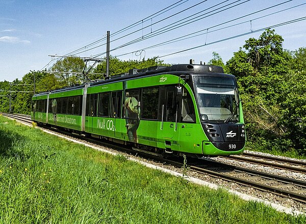 Foto einer grünen Straßenbahn - der AVG Froschbahn.