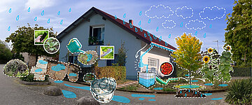 Collage aus Haus mit Garten. Wasserschaluch, Dachrinne, IBC Container, Plattenweg, Feldahorn, Sonneblumen, Wasserpfützen.