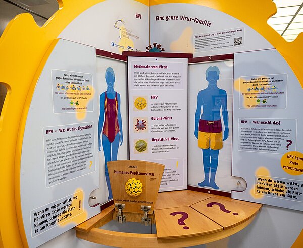 Spielelement in der HPV-Ausstellung.