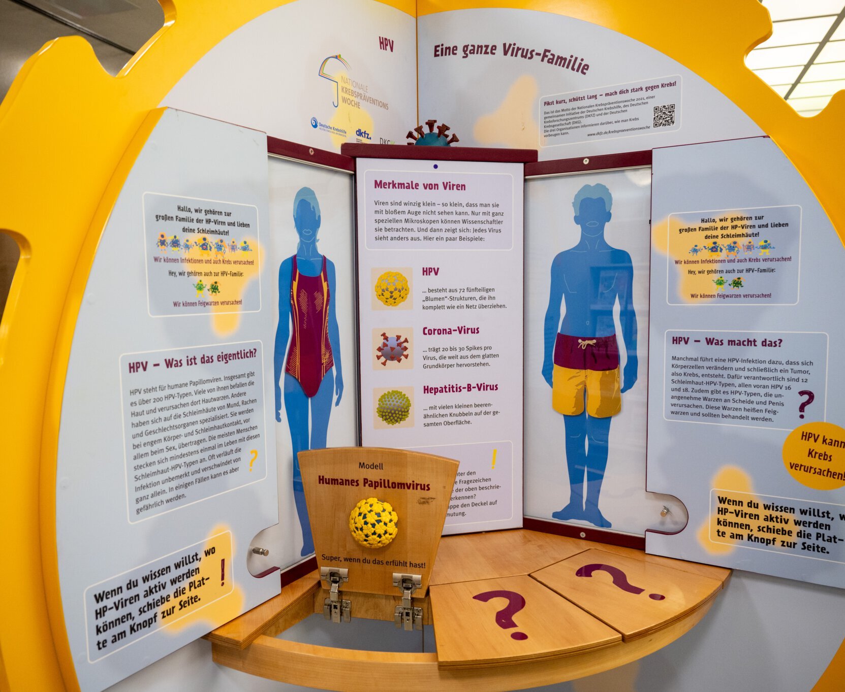 Spielelement in der HPV-Ausstellung.