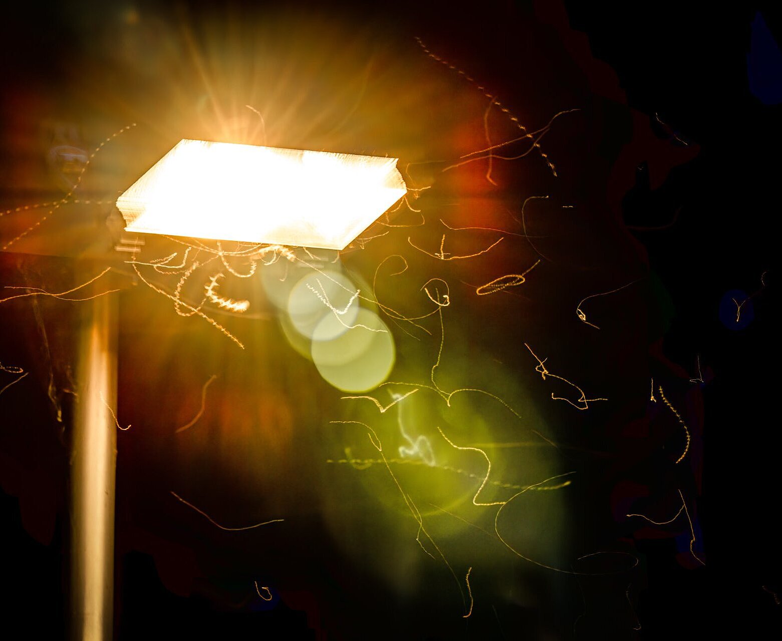 Langzeitbelichtung um die Flugspuren von Insekten zu zeigen