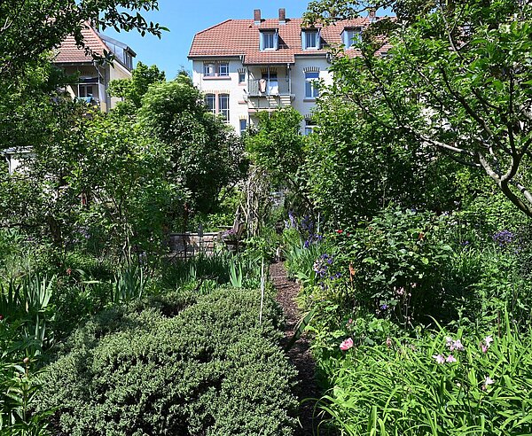 Grüner und blühender Garten