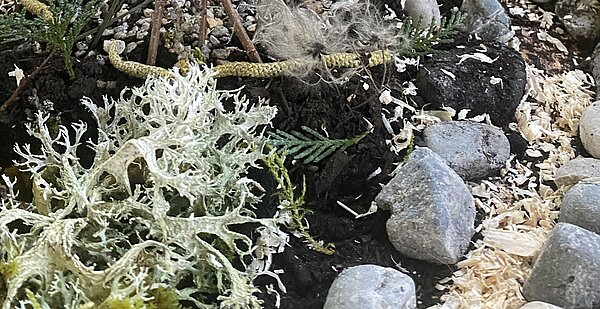 Ideen- und Planungswerkstatt PikoPark