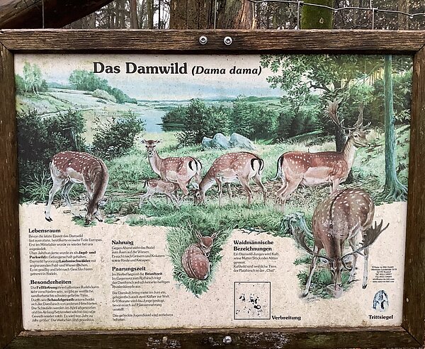 Infotafel zum Thema Damwild