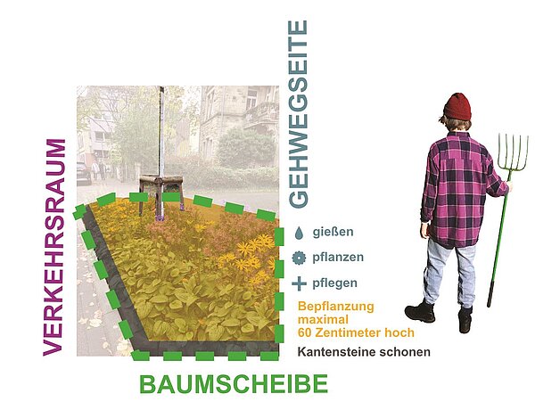 Verbildlichung einer Baumpatenschaft Plus