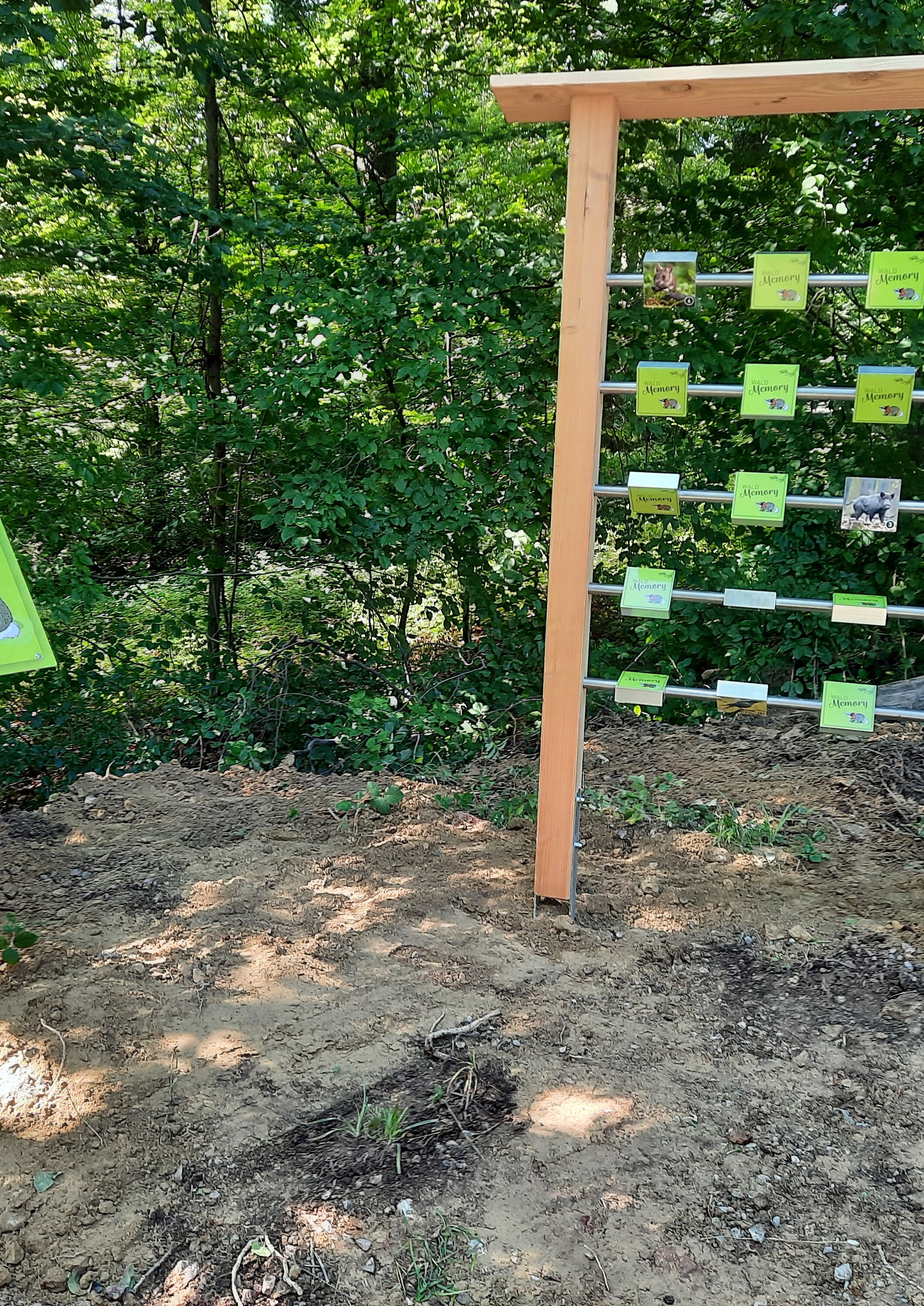 Das Bild zeigt das Waldmemory der Pfades WaldWelt.