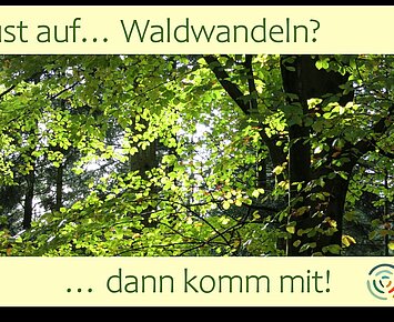 Waldwandeln