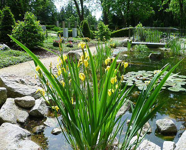Grabareal Hauptfriedhof Mein Letzter Garten 23
