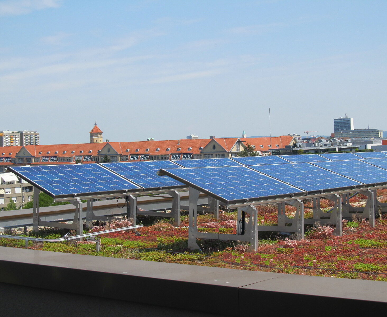 Das Bild zeigt ein Dach mit einer Dachbegrünung und einer Photovoltaikanlage. 
