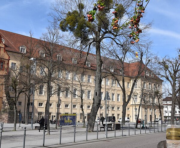 Karlsburg in Durlach