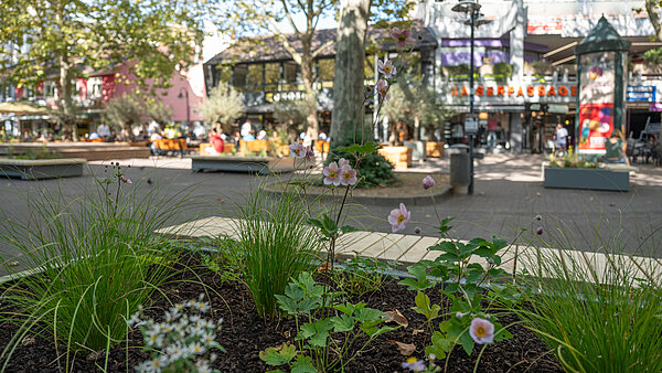 'Passagehof Begrünung