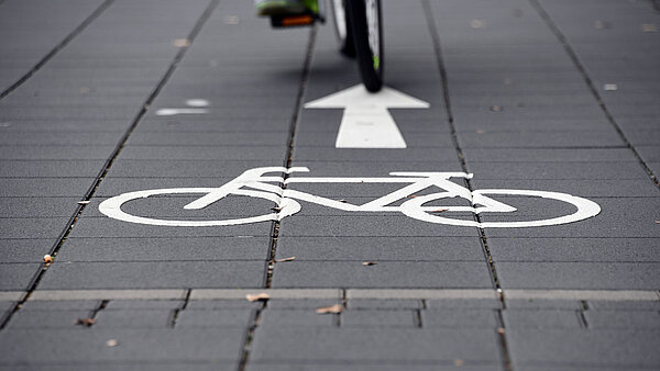 Das Foto zeigt einen Radweg.