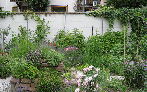 Das Bild zeigt den Schulgarten der Grundschule Beiertheim.