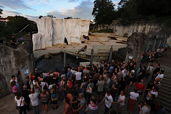Beim Karlsruher Nacht-Zoo werden an beiden Abenden kommentierte Fütterungen angeboten.