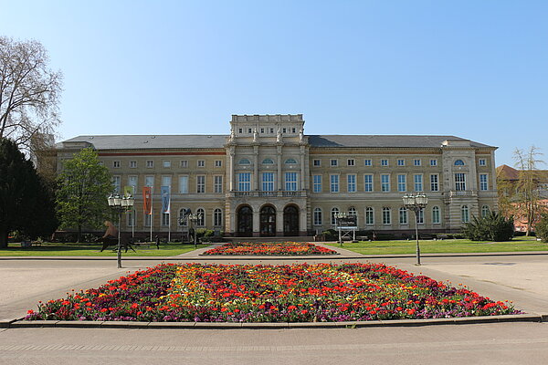 Frühlingsbepflanzung auf dem Friedrichspatz