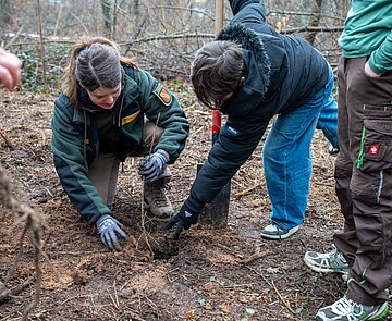 26 Schülerinnen und Schüler, die sich im Rahmen des Projekts Klimaneutrale Schule an ihren Schulen für einen sparsamen Umgang mit Energie und mehr Klimaschutz engagieren, haben gemeinsam mit dem Forstamt 130 Bäume im Hardtwald gepflanzt.