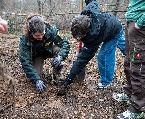26 Schülerinnen und Schüler, die sich im Rahmen des Projekts Klimaneutrale Schule an ihren Schulen für einen sparsamen Umgang mit Energie und mehr Klimaschutz engagieren, haben gemeinsam mit dem Forstamt 130 Bäume im Hardtwald gepflanzt.