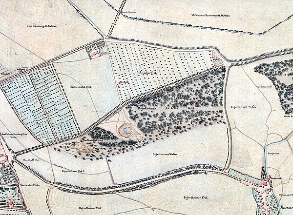 Südlich des Beiertheimer Wäldchens gab es eine große Lichtung in einer ehemaligen Kiesgrube mit einem Teich, der als Viehtränke genutzt wurde. 