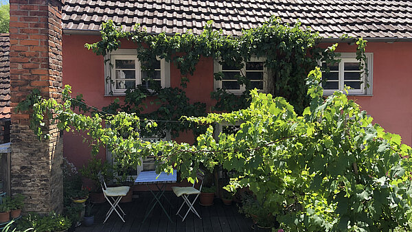 Dachterrasse mit Weinlaube