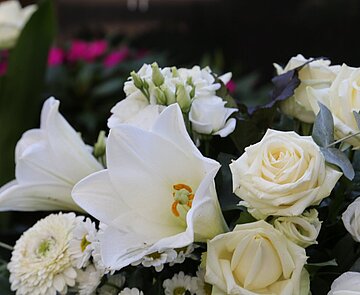 Hauptfriedhof Karlsruhe