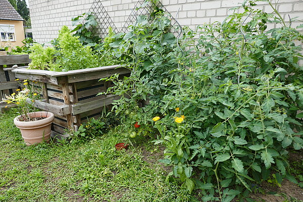 Hochbeete im Bonnerbü Nordweststadt