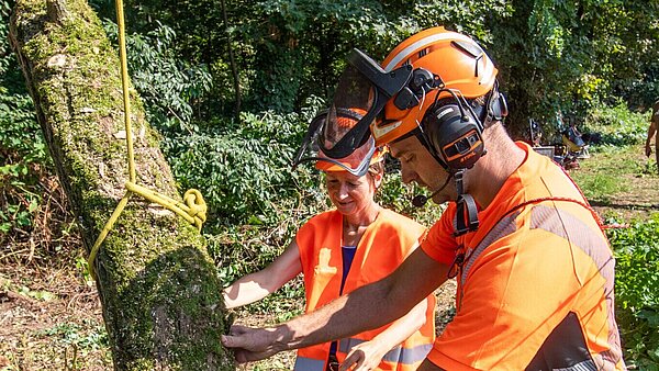 Bürgermeisterin Bettina Lisbach und Marco Dummler bewegen abgeseilten Ast.