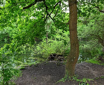 Oberwaldsee im Frühling umgeben von frischem Grün