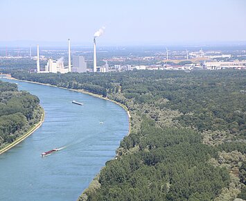 RhineCleanUp in den Rheinauen Daxlanden