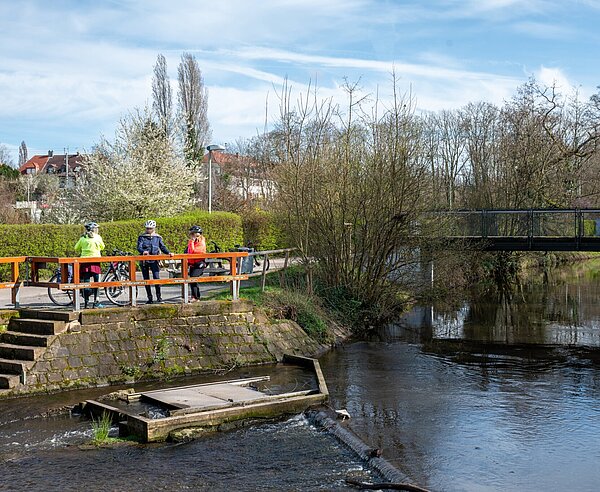 Thomaswehr, Alb bei Karlsruhe Daxlanden. Fischtreppe, Flußszene