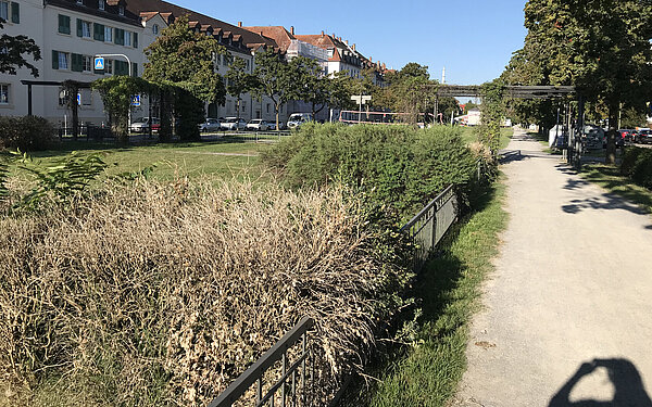 Bilder Ist-Zustand Abschnitt 5: Händelstraße bis Philippstraße