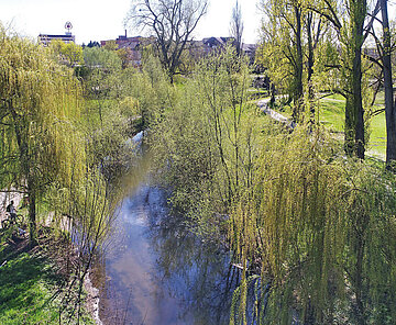 Das Foto zeigt die Alb aus der Vogelperspektive.
