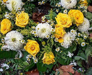Blumenstrauß aus gelben und weißen Blumen am  Grab stehend