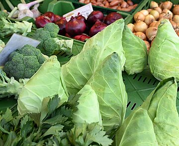 Spitzkohl auf einem Marktstand am Stephanplatz