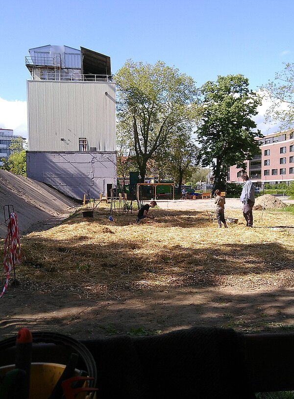 Übersicht auf gemulchte Fläche