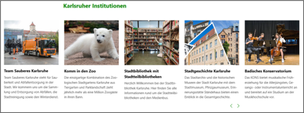 Das ist ein Bild von der Internet-Seite der Stadt Karlsruhe.  Es zeigt den Bereich: Karlsruher Institutionen. 