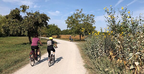 Das Foto zeigt einen Radweg in der Umgebung von Karlsruhe.