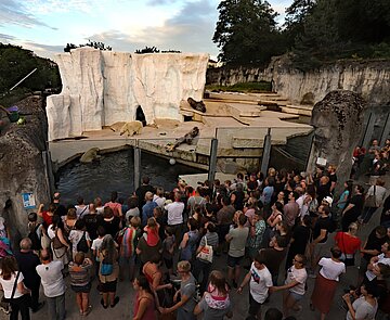 Beim Karlsruher Nacht-Zoo können die Zoogäste kommentierte Fütterungen in einer ganz besonderen Sommerabend-Stimmung erleben.