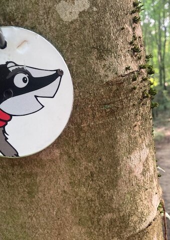 Das Bild zeigt eine Plakette mit dem Maskottchen Diane Dachs des Pfades "WaldWelt".