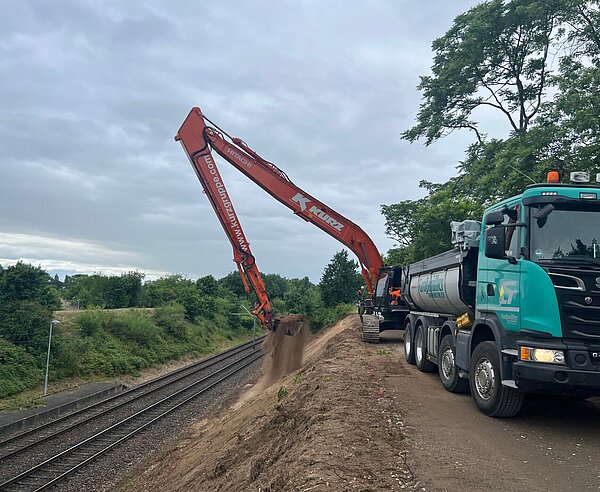 Bei der Entfernung der Götterbäume kam auch schweres Gerät zum Einsatz.