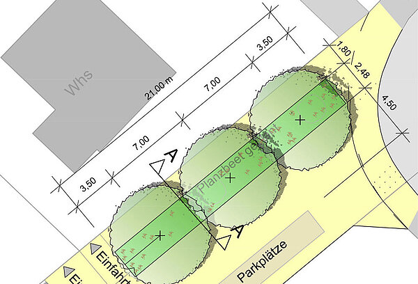 Eine Planzeichnung der öffentlichen Flächen mit drei neu zu pflanzenden Bäumen.
