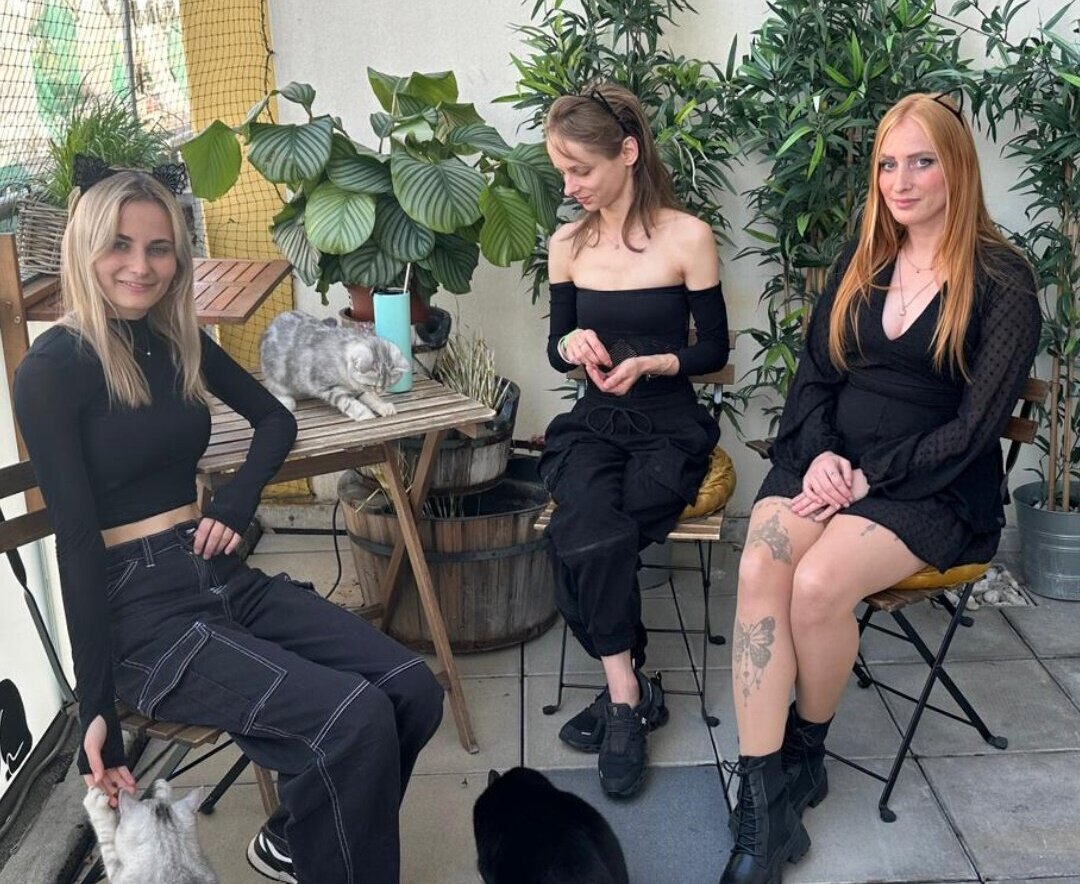 Seit Mitte Oktober hat das Café Stubentiger in der Kaiserpassage geöffnet.