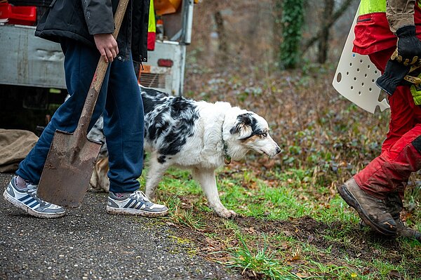 Baumpflanzaktion 2025/26 - 08