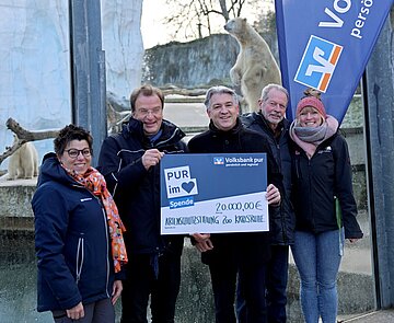 Die Artenschutzstiftung Zoo Karlsruhe erhält eine 20.000-Euro-Spende von der Volksbank pur. Das Geld geht an die Organisation Polar Bears International zur Erforschung und zum Schutz von Eisbären in der Natur.