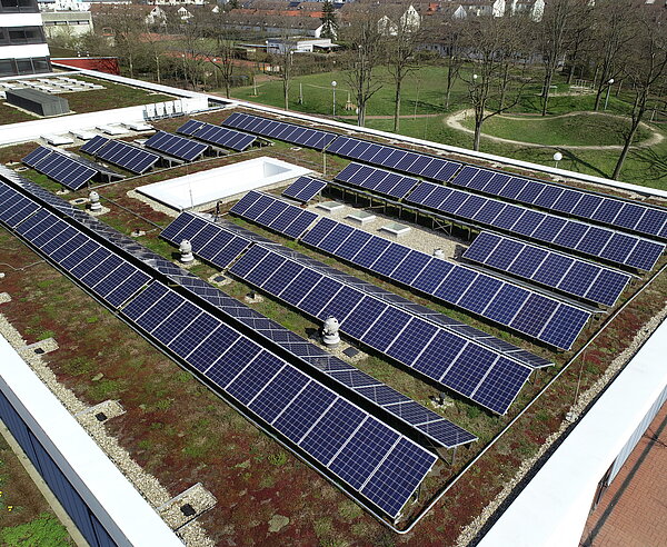 Die Photovoltaikanlage auf dem Gründach des Otto-Hahn-Gymnasiums in Karlsruhe
