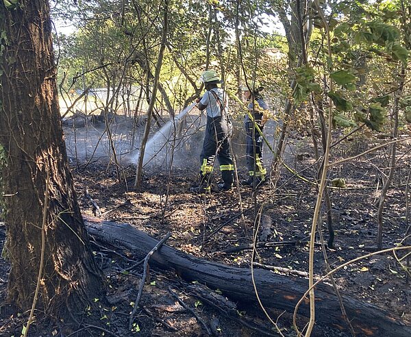 Waldbrandsets: Dünnere, leichtere und somit handhabbarere Schläuche helfen, Waldbrände besser zu löschen. 