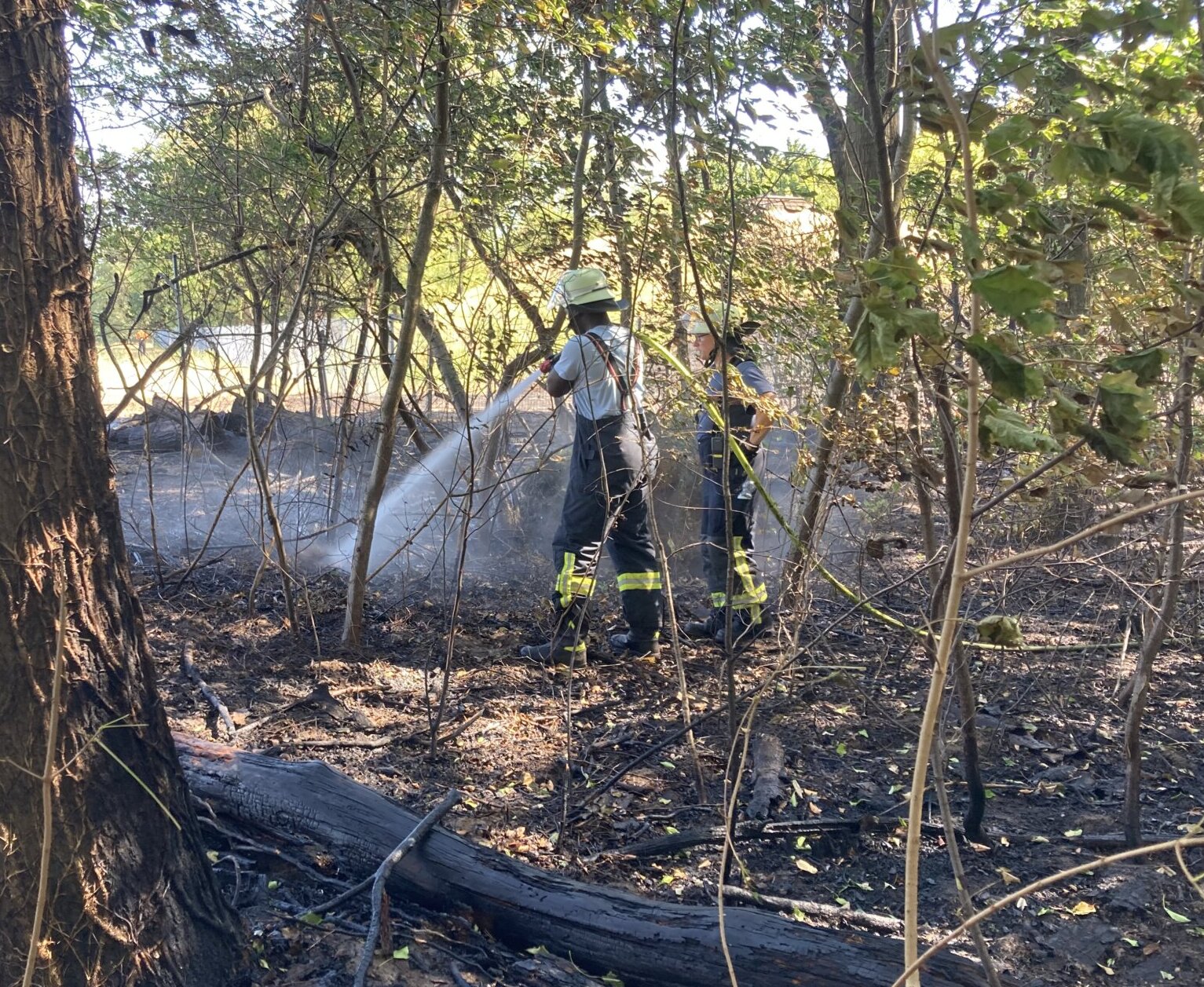 Waldbrandsets: Dünnere, leichtere und somit handhabbarere Schläuche helfen, Waldbrände besser zu löschen. 