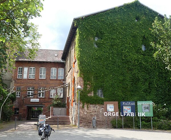 Fassadenbegrünung Altstadt Durlach