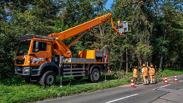 Bettina Lisbach steht mit Baumpflegerinnen vor einer Eiche. Neben ihnen steht der Hubsteiger.