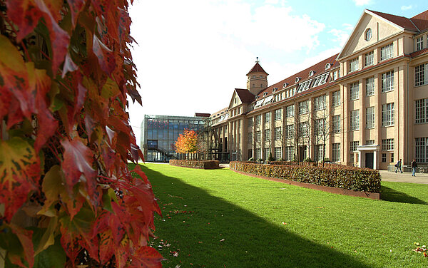 Das Bild zeigt die Grünanlage vor dem Zentrum für Kunst und Medien.